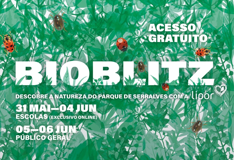 BioBlitz em Serralves